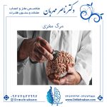 همه-چیز-درباره-مرگ-مغزی