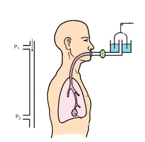 تنفس خود به خود