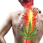 درباره-بیماری-های-نخاع