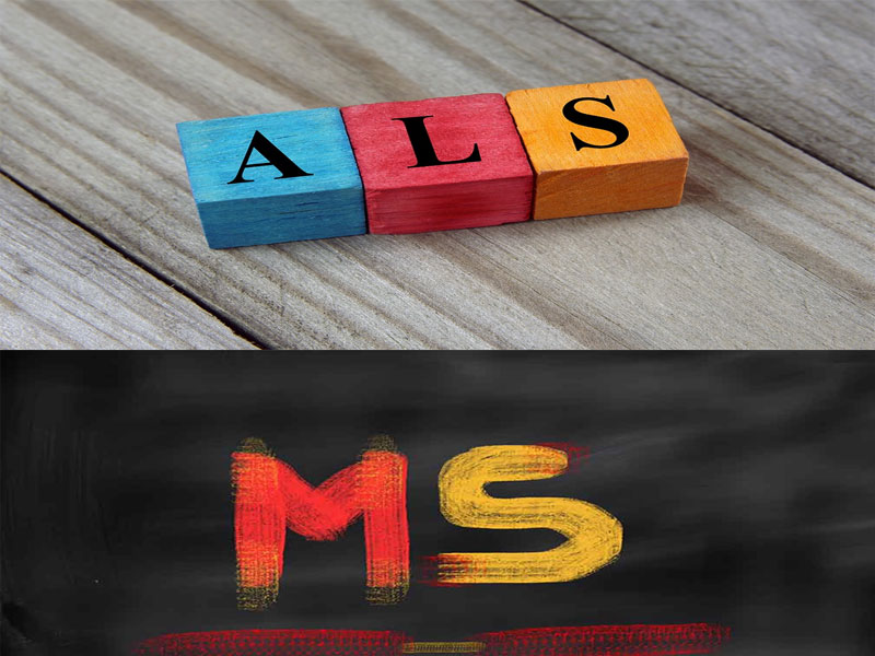 ام-اس-و-ای-ال-اس