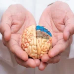 اختلال-حافظه-چیست؟