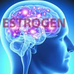تاثیر استروژن بر آلزایمر