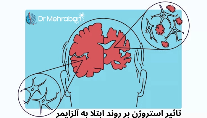 تاثیر استروژن بر آلزایمر