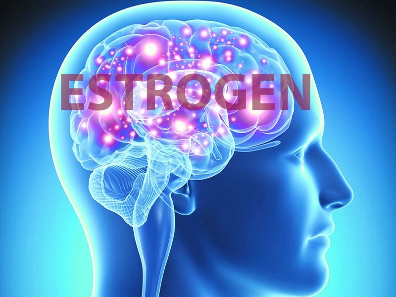 تاثیر استروژن بر آلزایمر