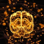 عوامل خطر زوال عقل